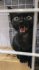 260614_01.jpeg